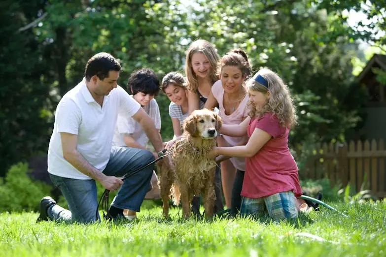 Familia jugando con un perro golden retriever en un jard&iacute;n