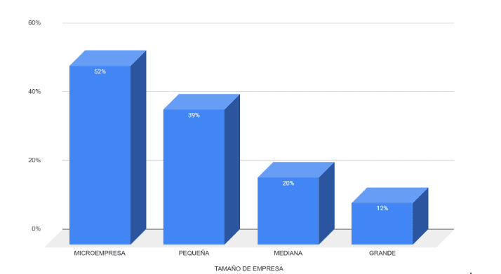 Gráfico estadístico tipos de empresas